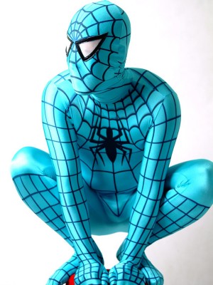 Blue And Black Spiderman Costume